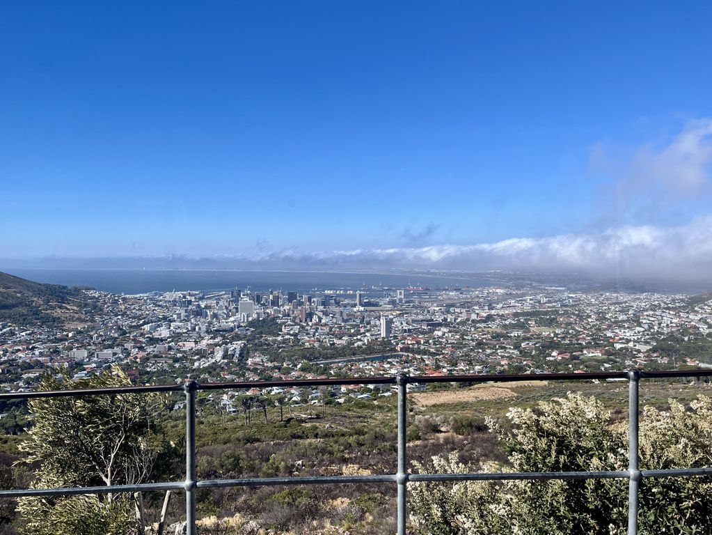 Tafelberg Kaapstad Zuid Afrika groepsrondreis 3